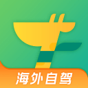姚明与姚黑：为何爱他的人和恨他的人一样疯狂？